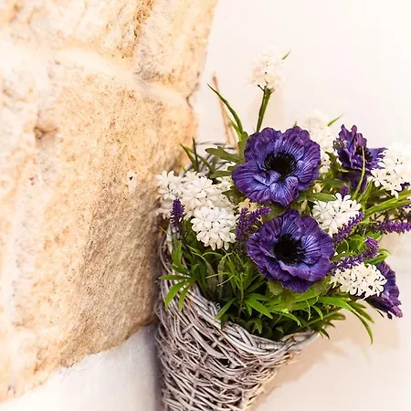 Bed & Breakfast Nel Blu Dipinto Di Blu 4*