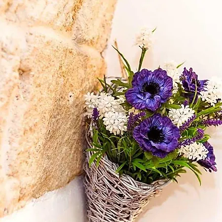 Nel Blu Dipinto Di Blu Panzió 4*
