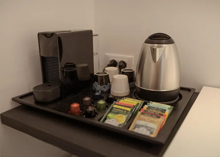 内尔布鲁迪品托住宿加早餐旅馆 4*